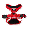 Rocky Mountain Dog Summit All-Terrain Dog Harness