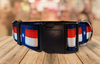 Rocky Mountain Hound 1.5" Wide Texas Dog Collar