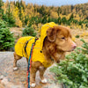 Rocky Mountain Dog Tofino Rain Jacket
