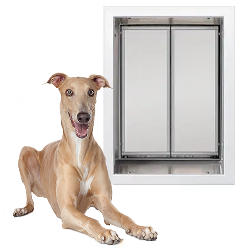 PlexiDor Dog Door (Wall Series)