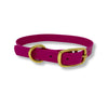 Rocky Mountain Dog Biothane Waterproof Dog Collars