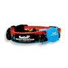 Rocky Mountain Dog AirTag Holder