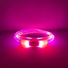 Rocky Mountain Dog Mountain Beacon LED Dog Safety Collar