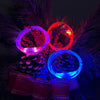 Rocky Mountain Dog Mountain Beacon LED Dog Safety Collar
