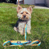 Rocky Mountain Dog Paw Mountain Dog Collar