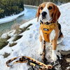 Rocky Mountain Dog Yellowstone All Mountain Dog Leash