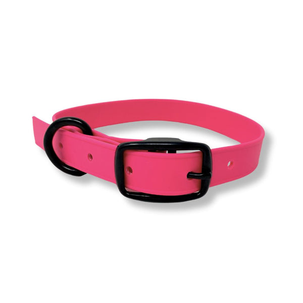 Rocky Mountain Dog Biothane Waterproof Dog Collars