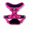 Rocky Mountain Dog Summit All-Terrain Dog Harness