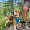 Rocky Mountain Dog Yellowstone All Mountain Dog Leash
