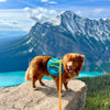 Rocky Mountain Dog Mountaineer Dog Backpack & Stand-Alone Harness