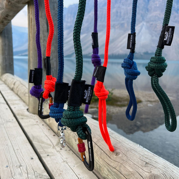 Rocky Mountain Dog Fernie Carabiner Dog Rope Leash