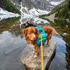 Rocky Mountain Dog Mountaineer Dog Backpack & Stand-Alone Harness