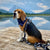 Rocky Mountain Dog The Grizzly All Mountain Dog Leash