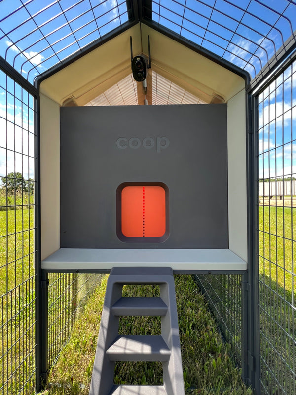 The Smart Coop + Extended Range Run (+ Free Chicks! 🐣 + Solar! ☀️)