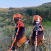 Rocky Mountain Dog Ranger All Mountain Dog Leash