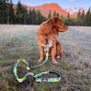 Rocky Mountain Dog Kootenay All Mountain Dog Leash