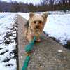 Rocky Mountain Dog Biothane Dog Grab Handle
