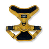 Rocky Mountain Dog Summit All-Terrain Dog Harness