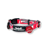 Rocky Mountain Dog Personalized Aluminum Dog ID Tag 1"