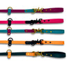 Rocky Mountain Dog Hands-Free Biothane Waterproof Leashes - Swivel Carabiner