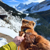 Rocky Mountain Dog Biothane Dog Grab Handle