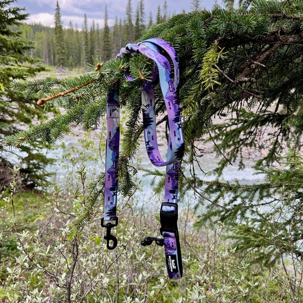 Rocky Mountain Dog PNW All Mountain Dog Leash