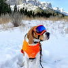 Rocky Mountain Dog The Grizzly All Mountain Dog Leash