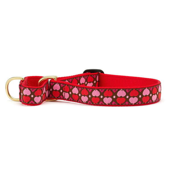 Up Country All Hearts Martingale Dog Collar