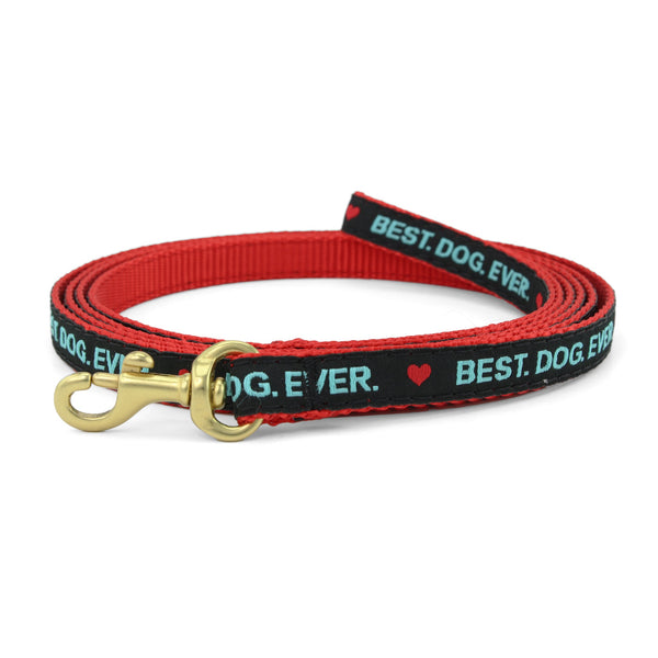 Up Country Best Dog Ever Small Breed Dog Lead