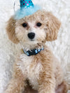 Up Country Blue Gingham Small Breed Dog Collar