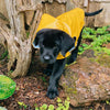 Up Country Nantucket Slicker