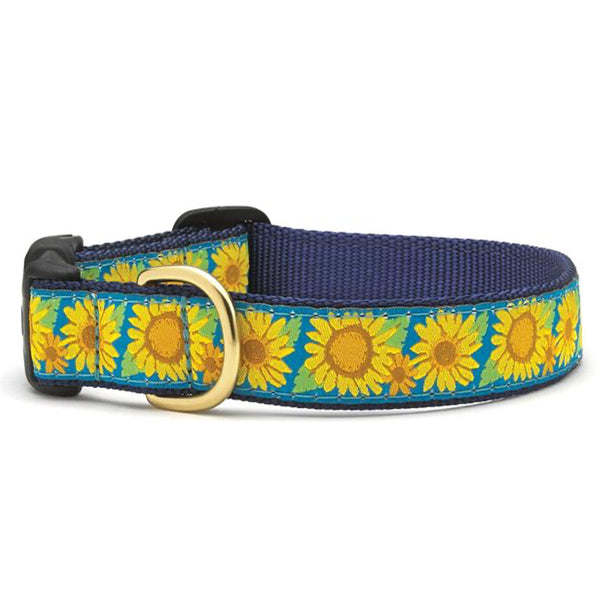 Up Country Bright Sunflower Dog Collar