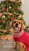 Up Country Christmas Tree Sweater