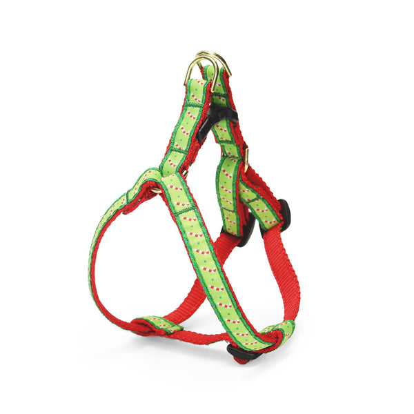 Up Country Candy Cane Dog Harness