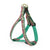 Up Country Christmas Sparkle Plaid Dog Harness