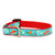 Up Country Cinco de Mayo Small Breed Dog Collar