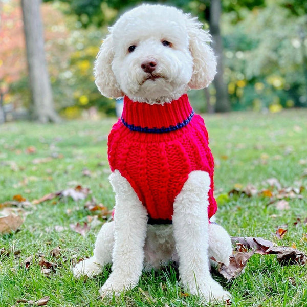 Up Country Classic Cable Sweater