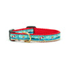 Up Country Coastal Small Breed Dog Collar