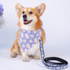 Up Country Daisy Bandana