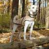 Up Country Plaid Diamond Quilted Coat