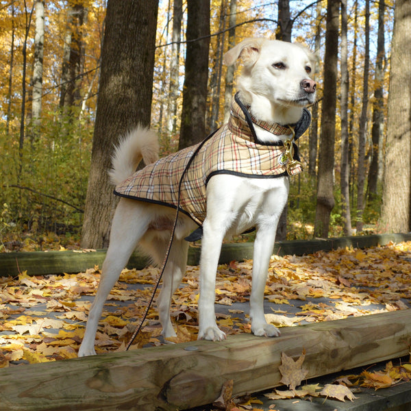 Up Country Plaid Diamond Quilted Coat