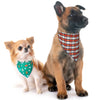 Up Country Pickleball Bandana