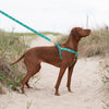 Up Country Dolphin Dog Harness