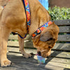 Up Country Feelin' Groovy Dog Harness