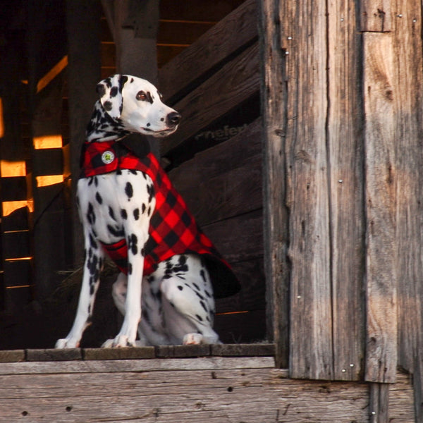 Up Country Buffalo Check Fleece Lined Coat