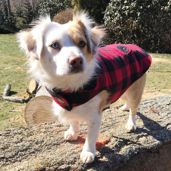 Up Country Buffalo Check Fleece Lined Coat
