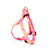 Up Country Flower Power Small Breed Dog Harness