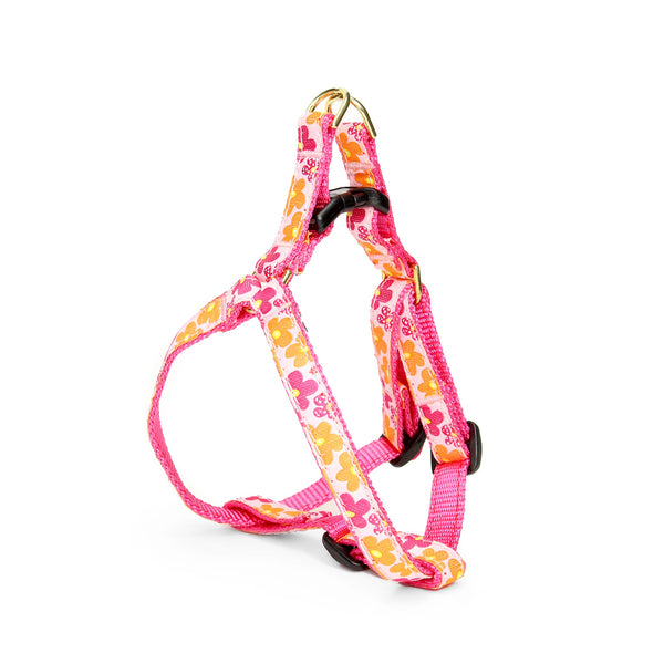 Up Country Flower Power Small Breed Dog Harness