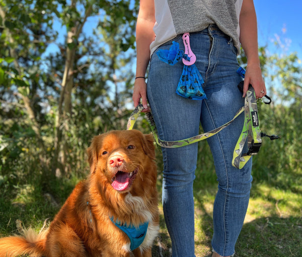 Rocky Mountain Dog Dog Waste Bag Holder