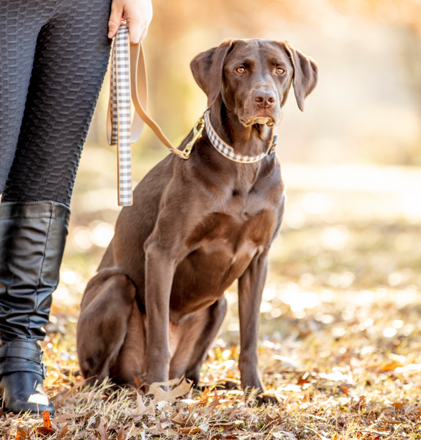 Up Country Gray Buffalo Check Dog Lead